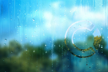 More than a tick box: why we support both B Corp and the Better Business Act.