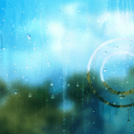 Cohesion's commitment to purpose-led business and positive impact